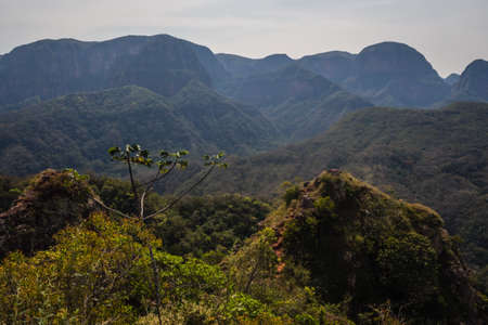 Jungle and mountains at Amboro national Park in Samaipata, Boliviaの写真素材