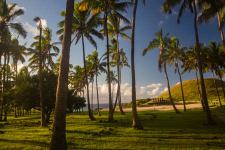 Palm tress at Anakena beach in Easter Island, Chile. Ahu Nau Nau moais in the backの写真素材