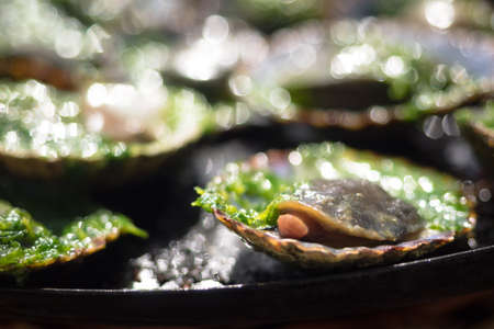 grilled limpets with green mojo, typical avocado in Lanzarote, Canary Islandの写真素材