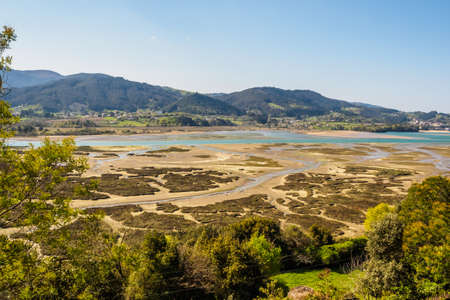 Marshes in the Urdaibai biosphere reserve. sunny day