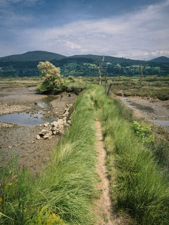 Path through the marshes in the Biosphere Reserve of Urdaibai during a cloudy day in the Basque Country, Spainの写真素材