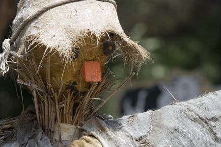 a scarecrowの写真素材