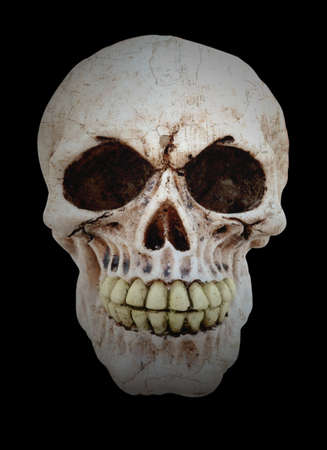 human skull isolated in blackの写真素材