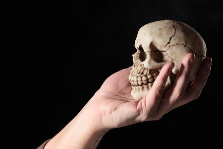 human skull on a human handの写真素材