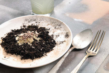 concept of bad food of a person without economic resourcesの写真素材