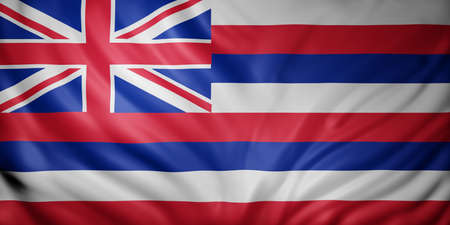 3d rendering of a detailed Hawaii USA State flag