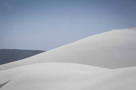 White sand dunes in the desert of Namibia.の写真素材