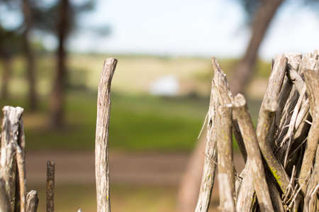 Viewpoint in the DoÃ Â± ana National Park from where you can see deer, boar, foxes, rabbits and many types of birds. Park declared a World Heritage Site by Unesco. Photo taken in November 2016.の写真素材