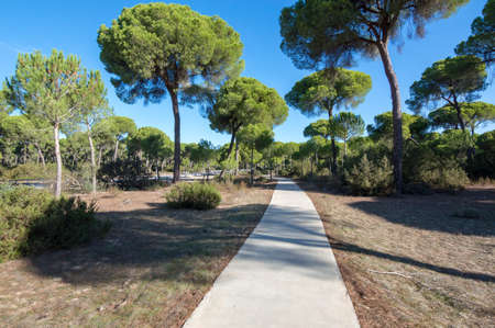 It's located in the Doña Natural Area within the municipality of Sanlucar de Barrameda, Spain.