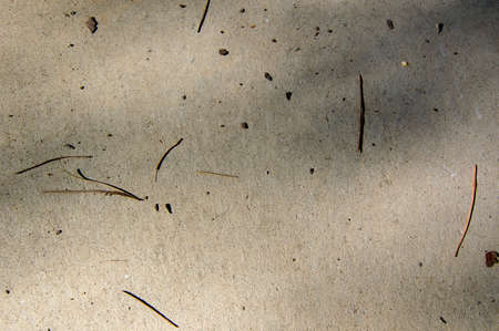 Photograph taken on a bike path with some dry twigs above.