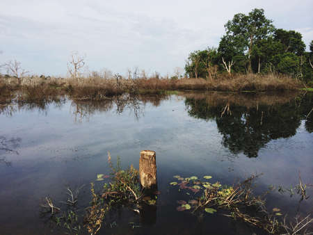 Lake in Angkorの写真素材