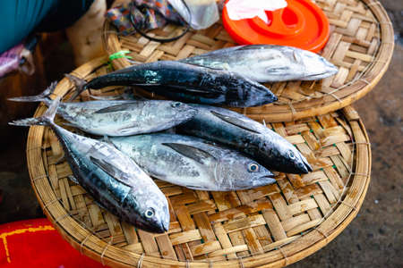 Fresh fish for sale on the street market of Nha Trang, Vietnam.の写真素材