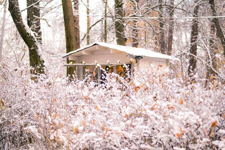The snow-covered bushes in winter park and little house with fairy lights. Christmas mood.