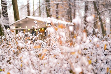 The snow-covered bushes in winter park and little house with fairy lights. Christmas mood.の写真素材