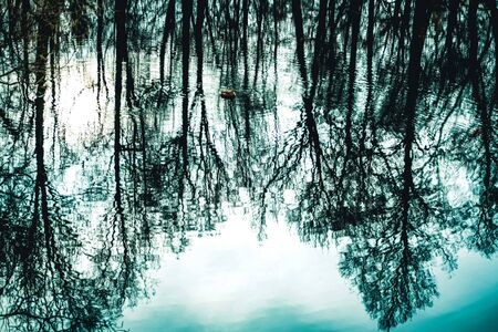 Lake in winter forest with reflection of black bare trees silhouettes. Dull melancholic sad monochrome landscape.の写真素材
