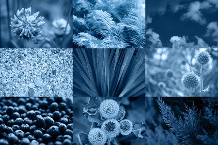 Collage of blue abstract and Christmas pictures and backgrounds in serene shade of indigo hue. Frame with text color of the year.の写真素材