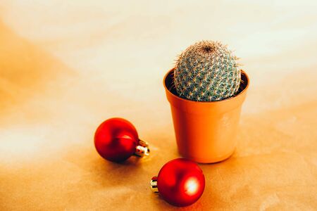Holiday celebration concept. Cactus with red christmas ball. Minimalism.の写真素材