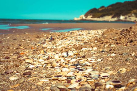 Sea shells collected on sandy beach at the Black Sea, Sile, Istanbul, Turkey. selective focus, vacation concept.の写真素材
