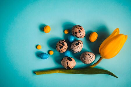 Blue spring and Easter background with quail eggs colorful candies and yellow tulips. Top view with...