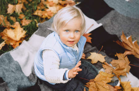 Autumn portrait of cute blond child sitting on the blanket in the park with orange leaves.の写真素材
