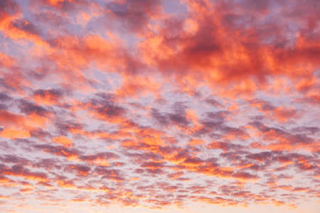 Dramatic sunset sky with pink and purple clouds