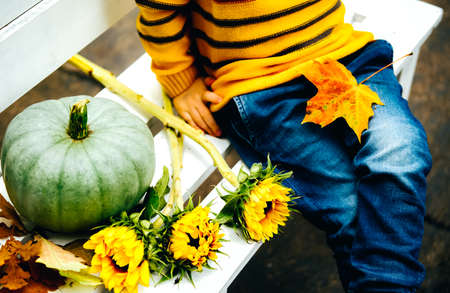 Child in autumn clothes sitting on the bench with pumpking.の写真素材