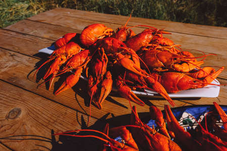 Red cooked crawfish and glasses of beer.の写真素材