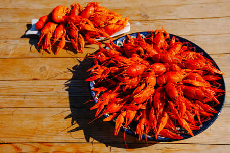 Red cooked crawfish and glasses of beer.の写真素材