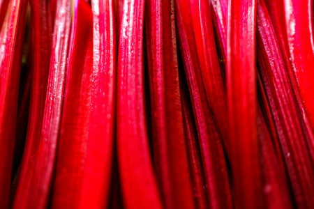 Fresh raw beet greens ready for cooking. Natural background.の写真素材