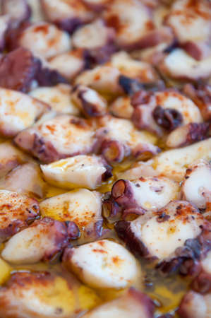 Dish of Galician octopusの写真素材