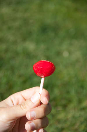 lollipops grass backgroundの写真素材