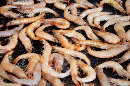 grilled prawnsの写真素材