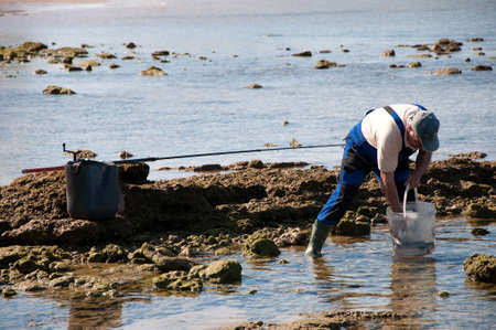 Man cleaning fish and seafoodのeditorial素材