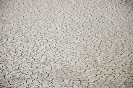 cracked and dry earth in the desert