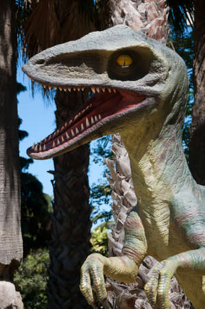 doll replica of a Tyrannosaurus rexの写真素材