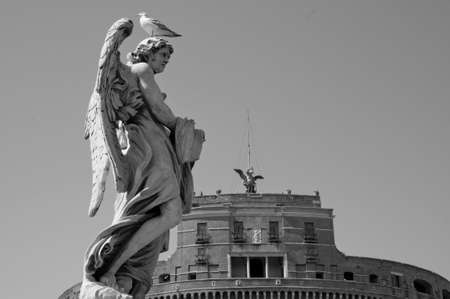 angelのeditorial素材