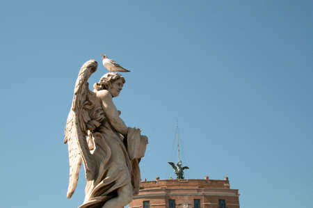 angelのeditorial素材