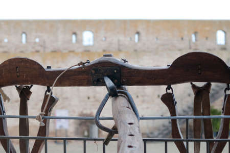 yokeのeditorial素材