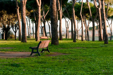 one of the parks in Rome during a beautiful winter dayの写真素材