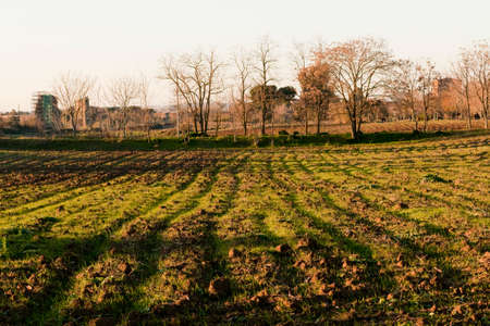 one of the parks in Rome during a beautiful winter dayの写真素材