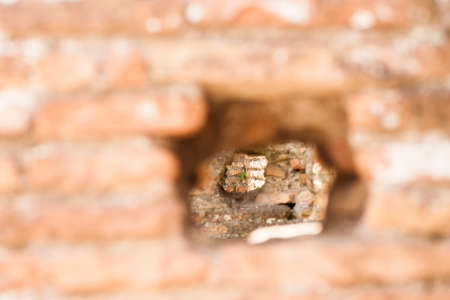 look through an old Roman wallの写真素材