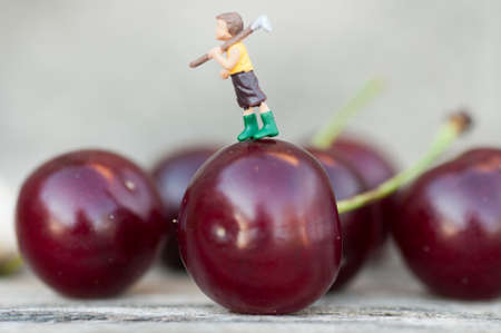 red cherriesの写真素材