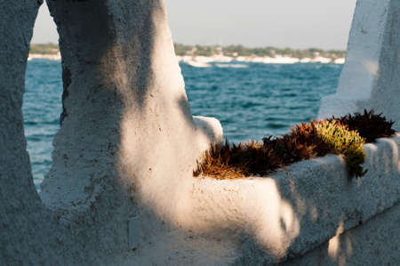 sea of Porto Cesareo Puglia. Italyの写真素材
