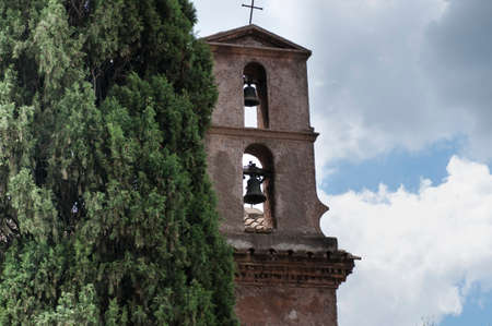 bell tower next to a cypress tree