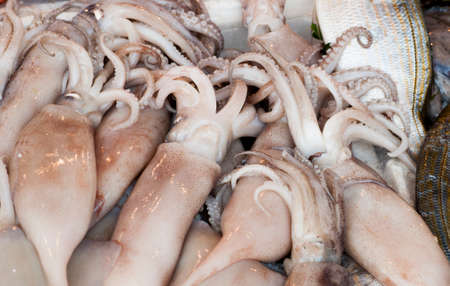 squid raw fish marketの写真素材