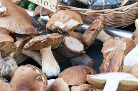 porcini mushrooms to the marketの写真素材