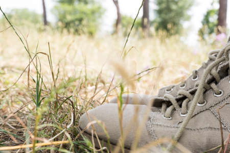 walking in the countryside among grass, crops and trees, the closeup of the shoesの写真素材