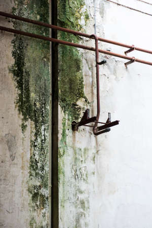 mold and rust on structures and walls of an industrial warehouse