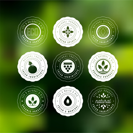 Collection of stickers and badges for natural and organic productsのイラスト素材