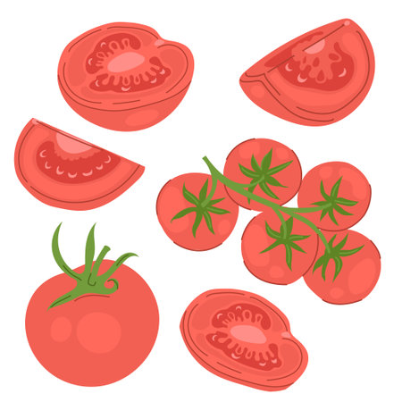 Tomatoes Setのイラスト素材